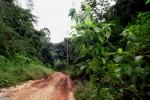 belize road