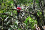 belize wildlife image