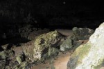 belize adventure vacations