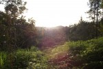 san ignacio town belize