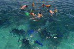 san pedro diving