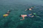 snorkeling belize