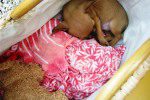 saga humane society