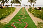 bougainvillea pictures