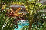 belize plants